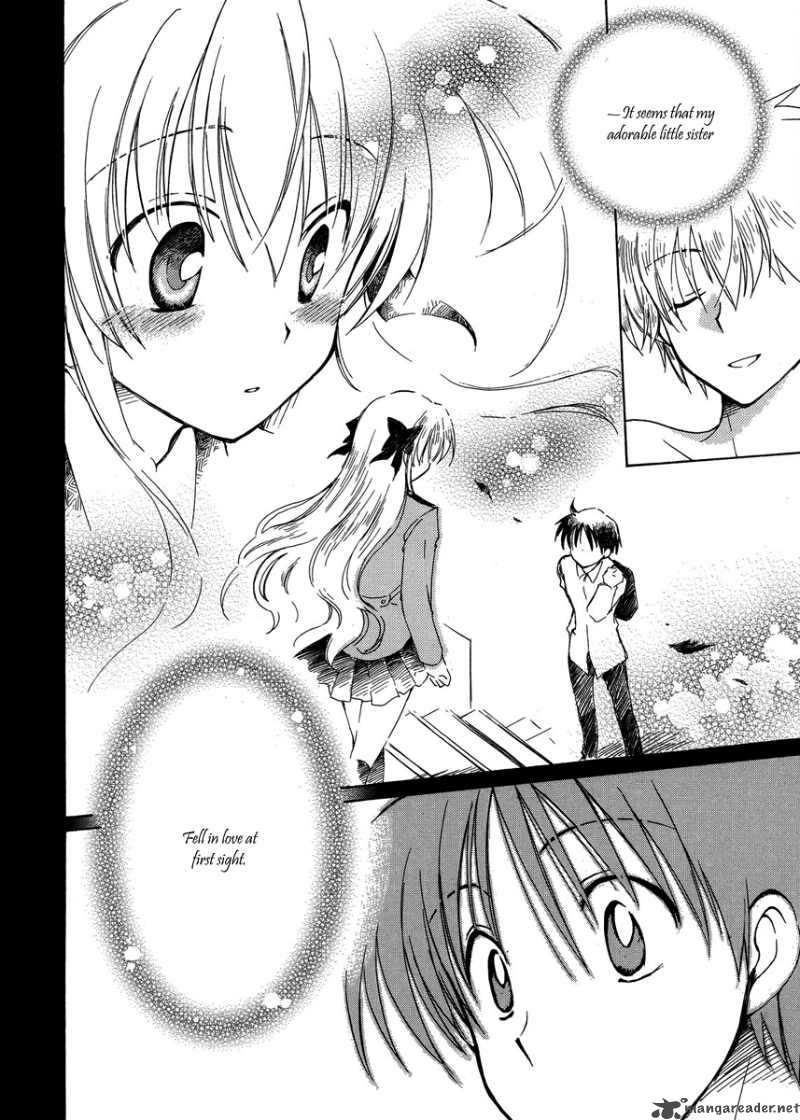 fortune_arterial_3_12