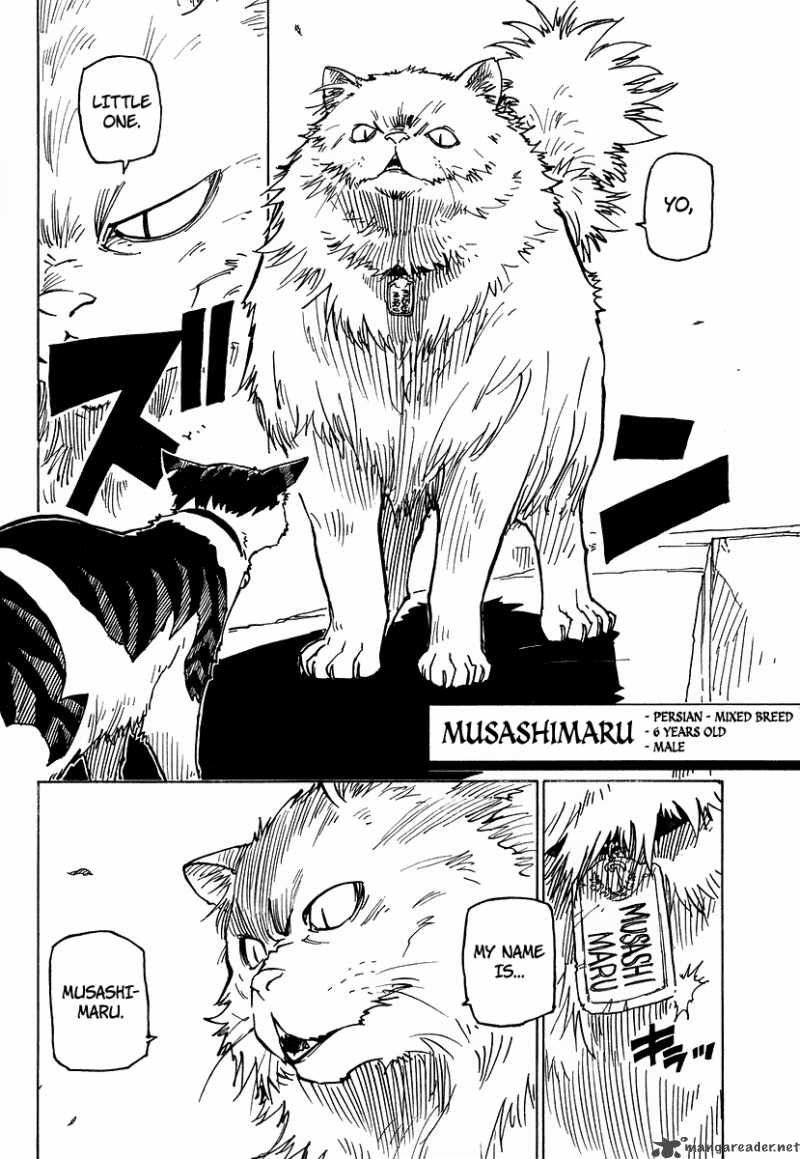 gakuen_sousei_nekoten_1_35