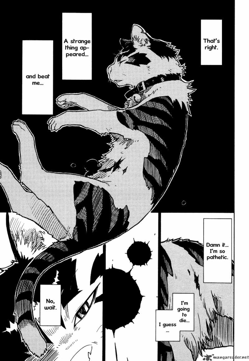 gakuen_sousei_nekoten_2_14