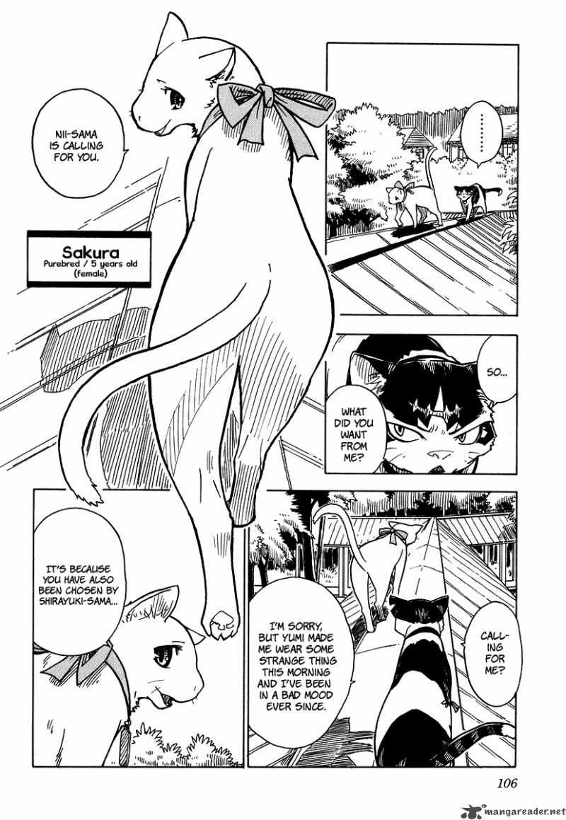 gakuen_sousei_nekoten_3_12