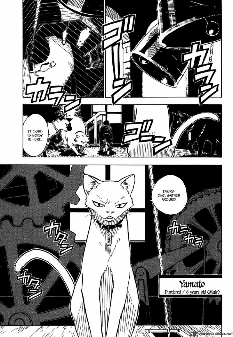 gakuen_sousei_nekoten_3_9