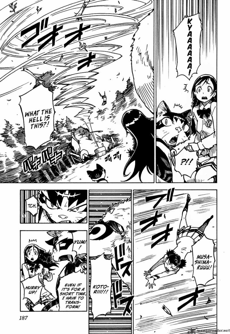gakuen_sousei_nekoten_5_27