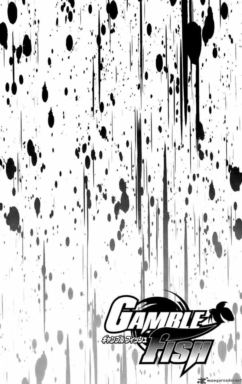 gamble_fish_30_5