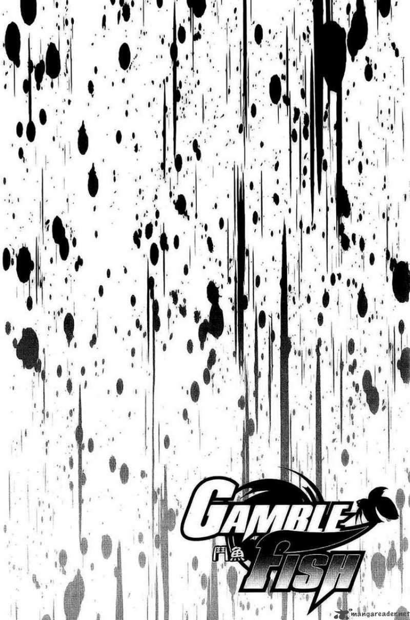 gamble_fish_37_3