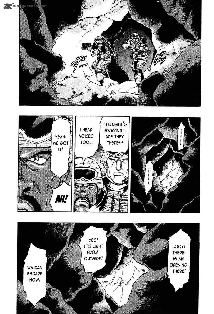 gamble_fish_70_15