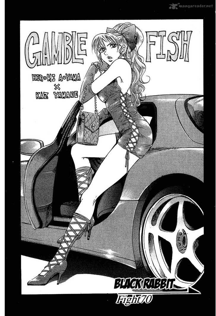 gamble_fish_70_6