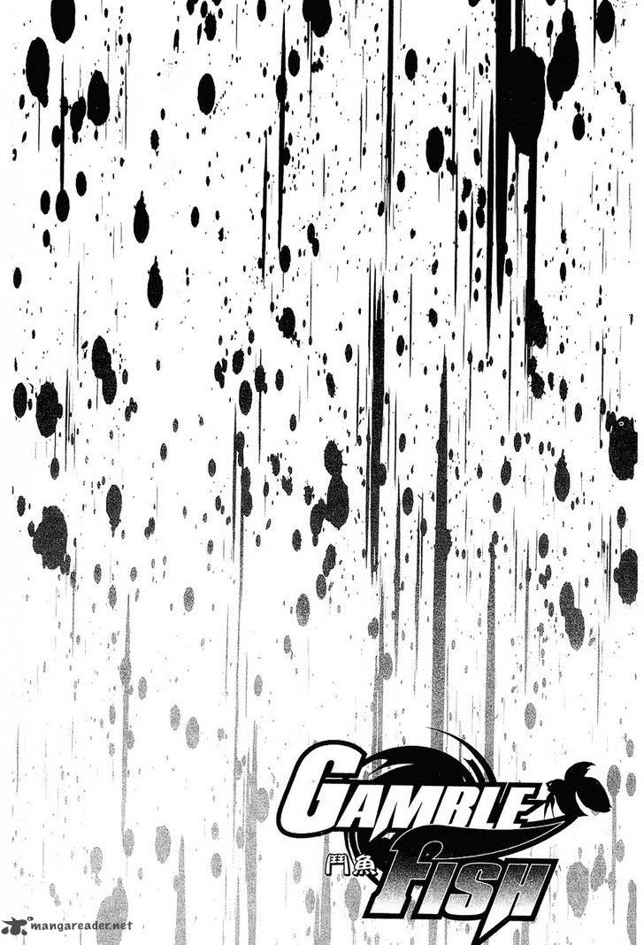 gamble_fish_77_3