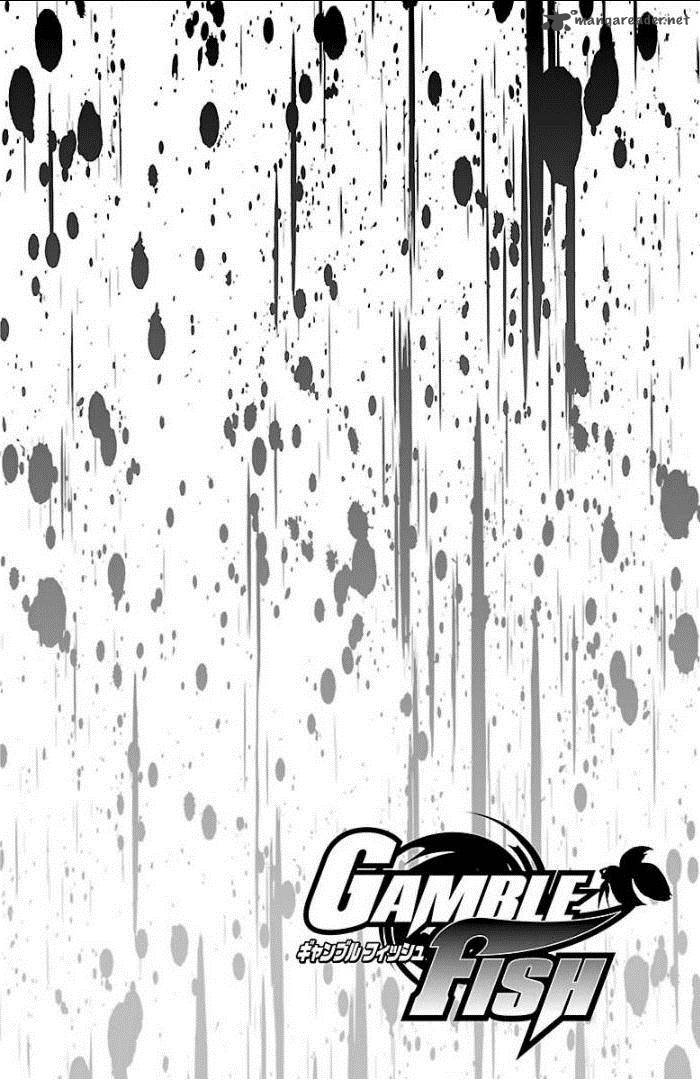 gamble_fish_95_2