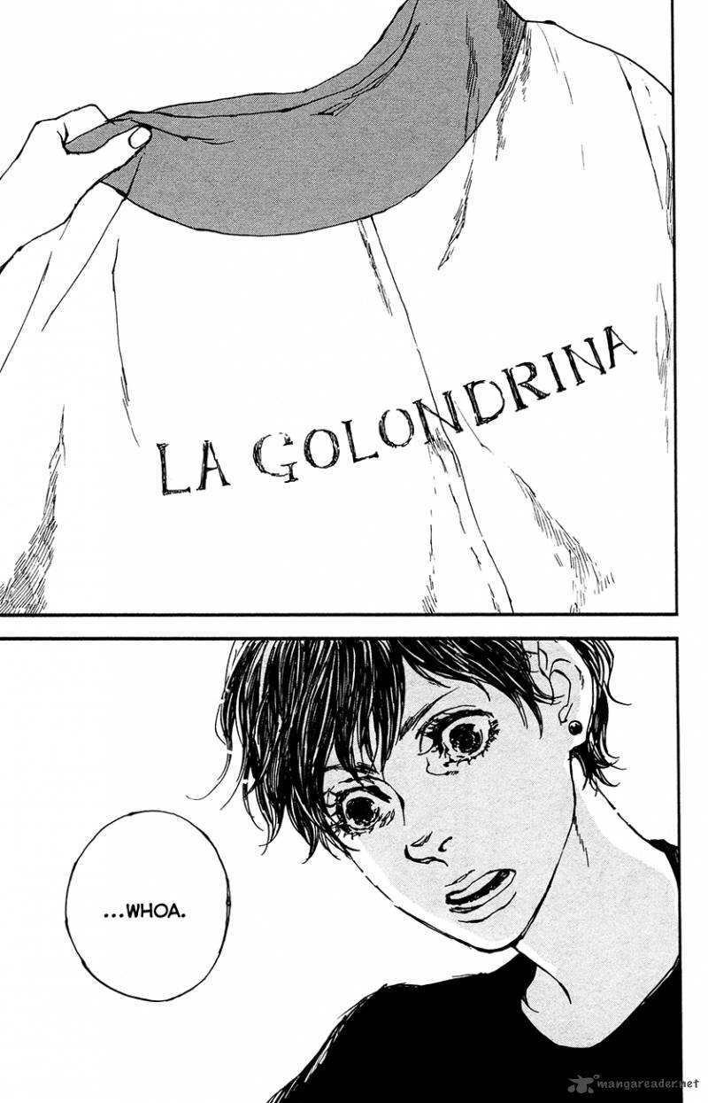golondrina_13_32