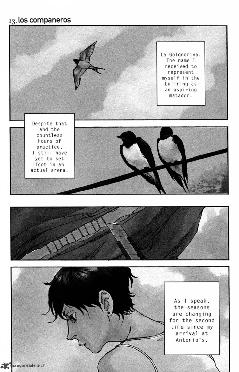 golondrina_13_5