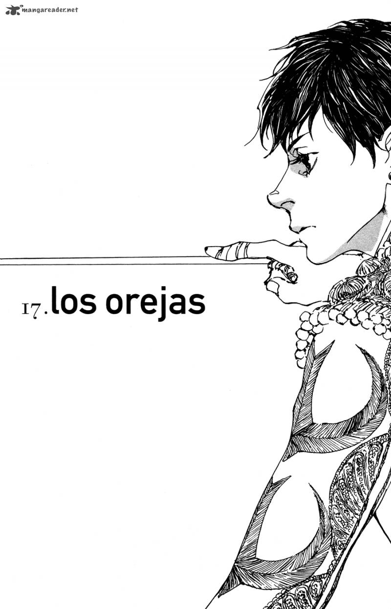 golondrina_17_1