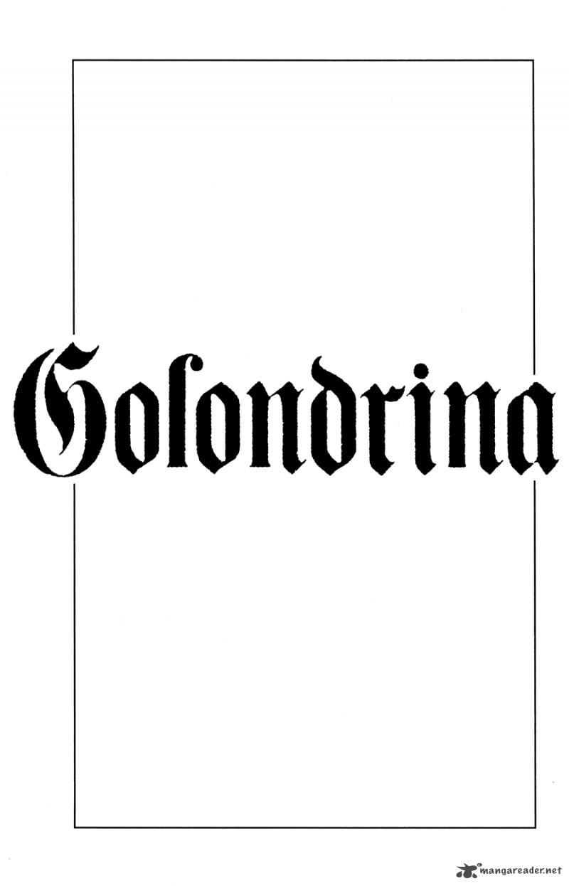 golondrina_18_36