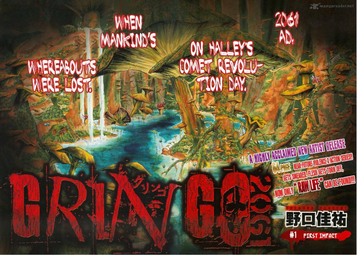 gringo_2061_1_2