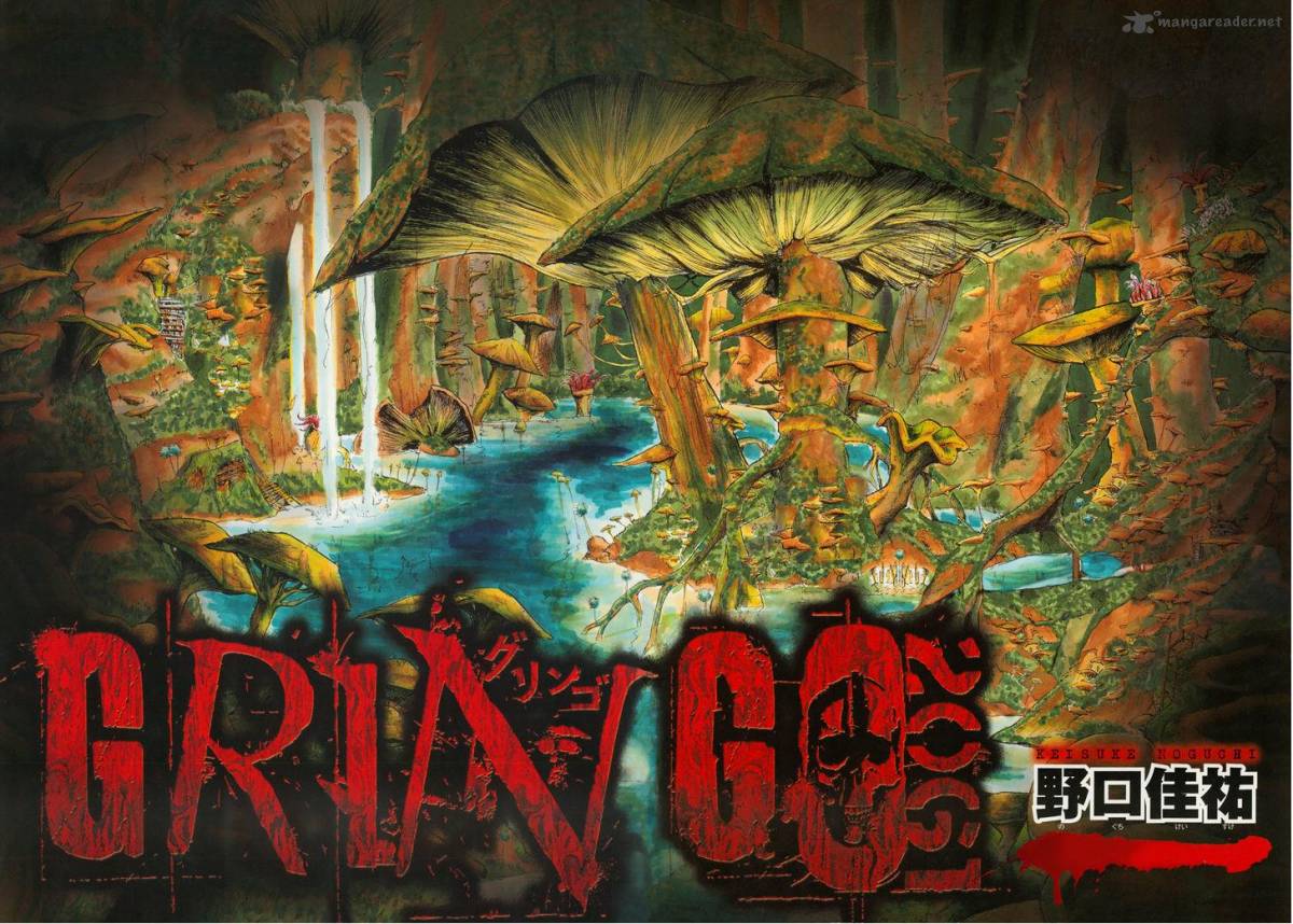 gringo_2061_1_61