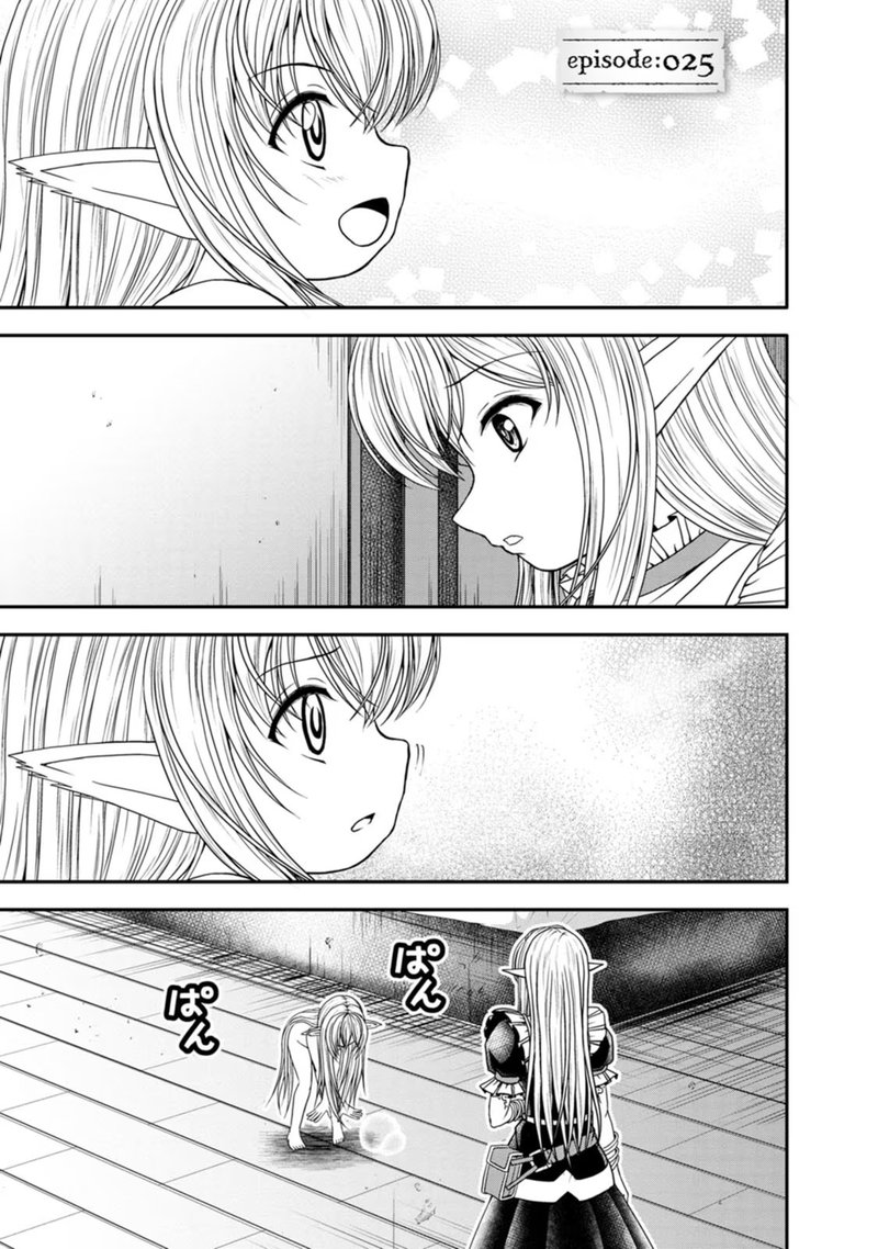 guild_no_cheat_na_uketsukejou_25_3
