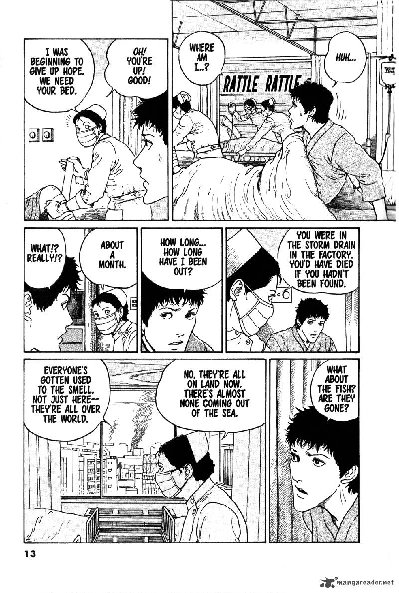 gyo_11_14