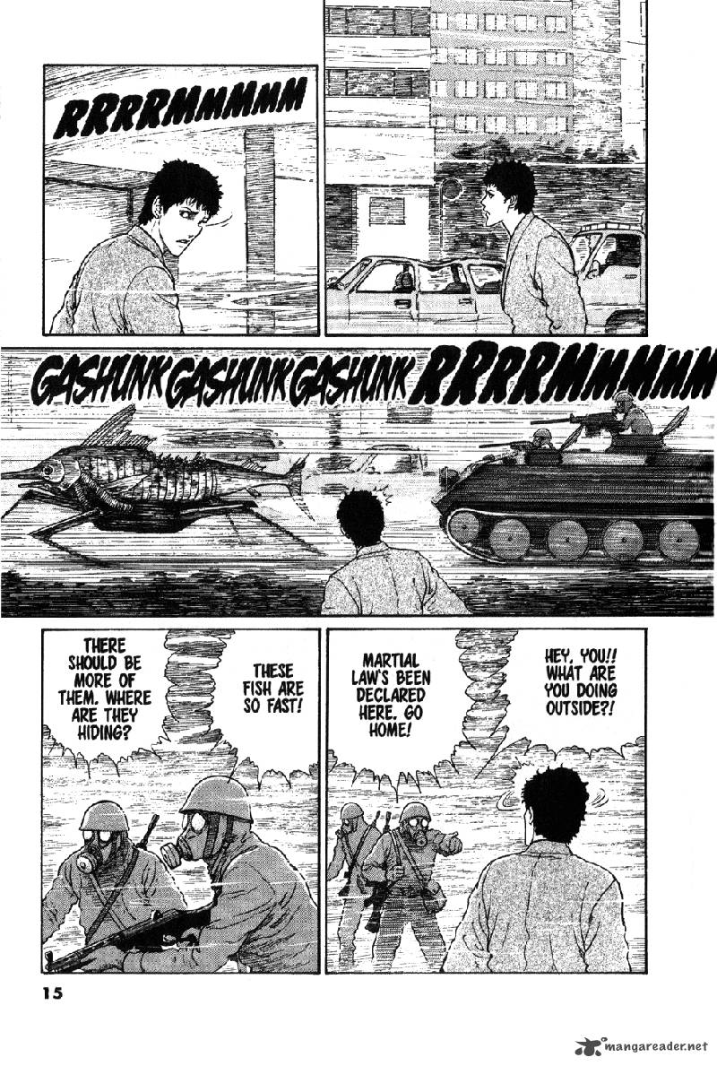 gyo_11_16