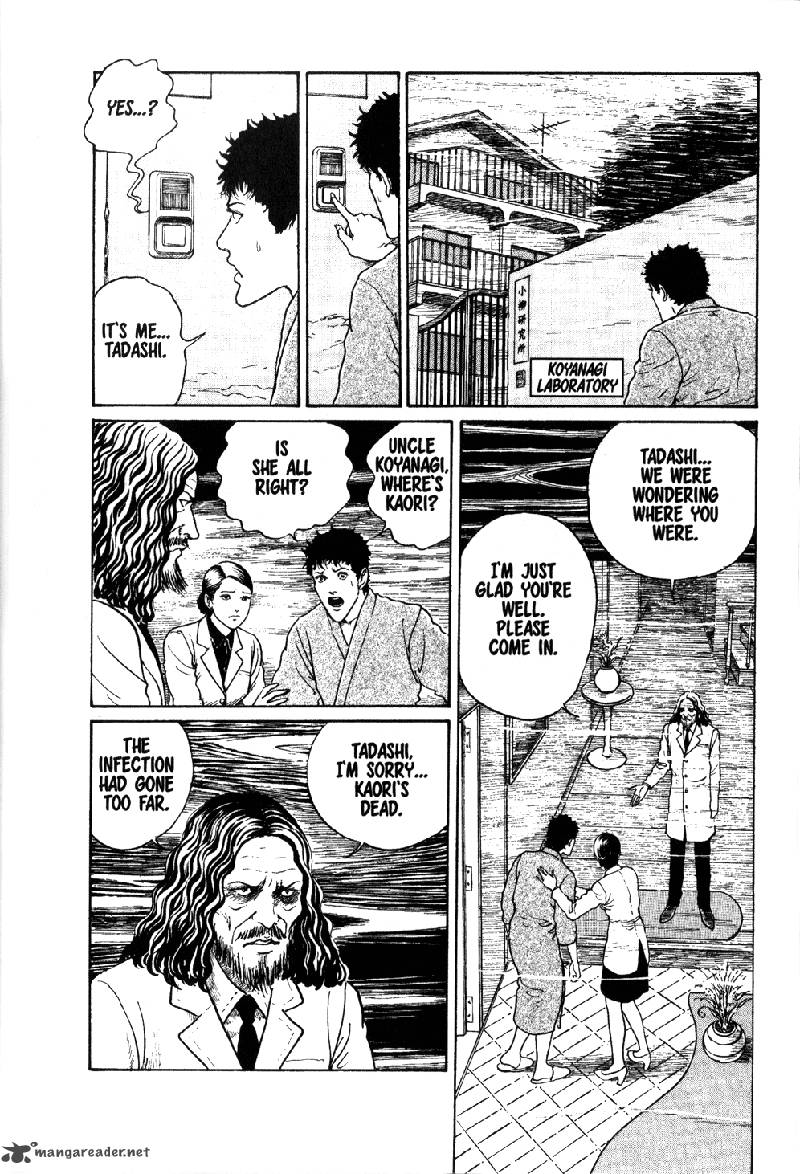 gyo_11_17