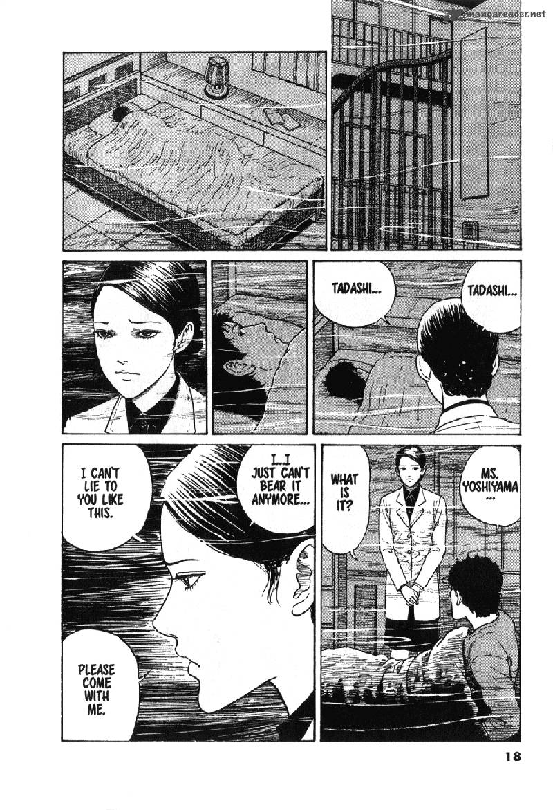 gyo_11_19