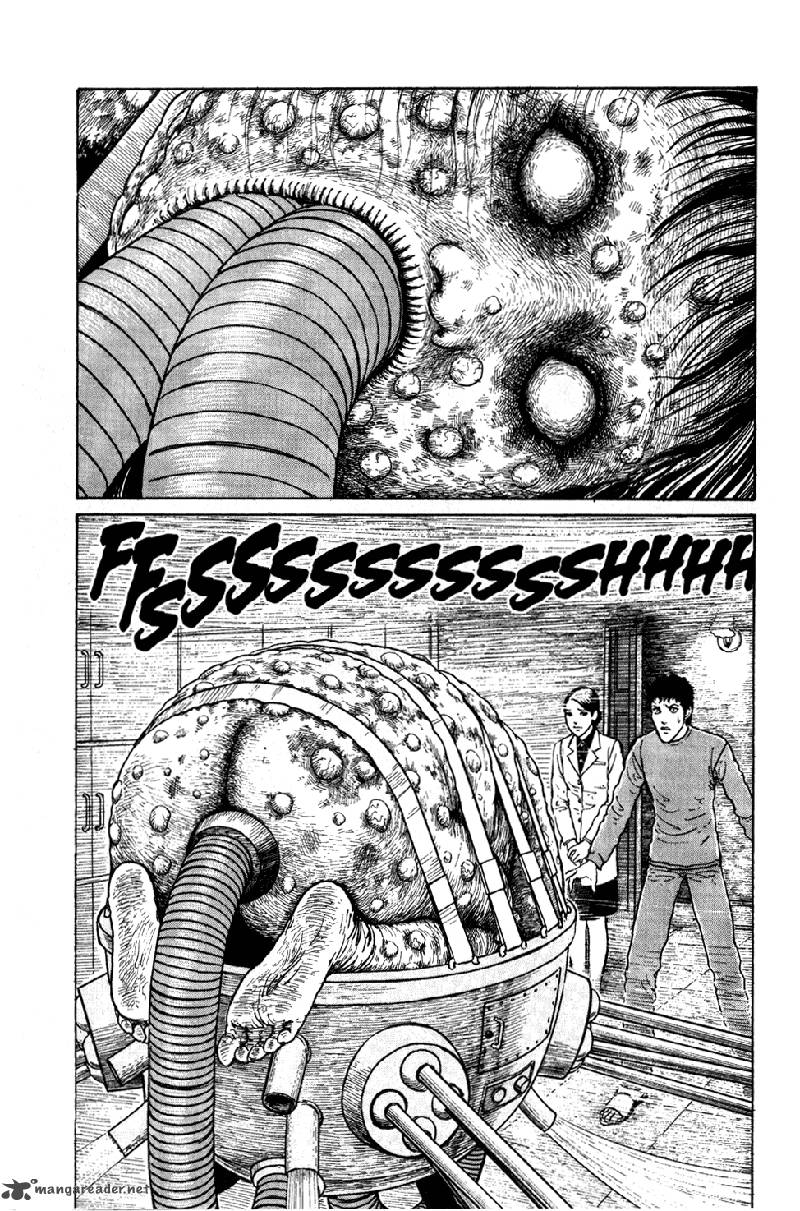 gyo_11_22