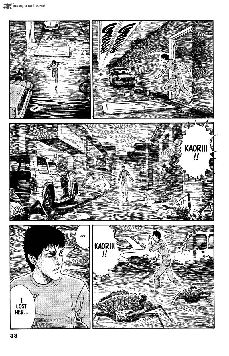 gyo_12_11
