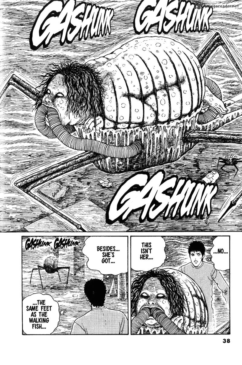 gyo_12_16