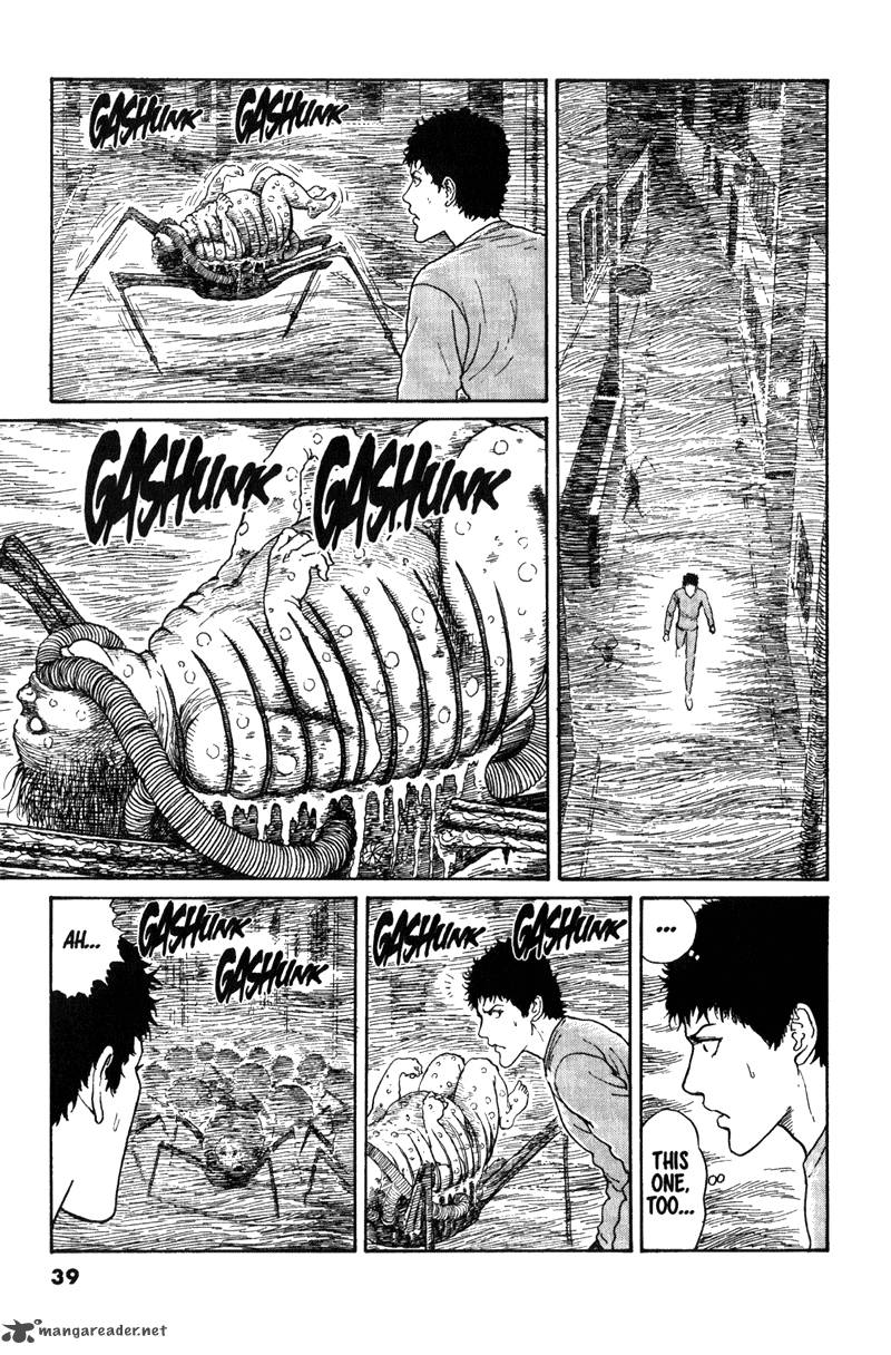 gyo_12_17
