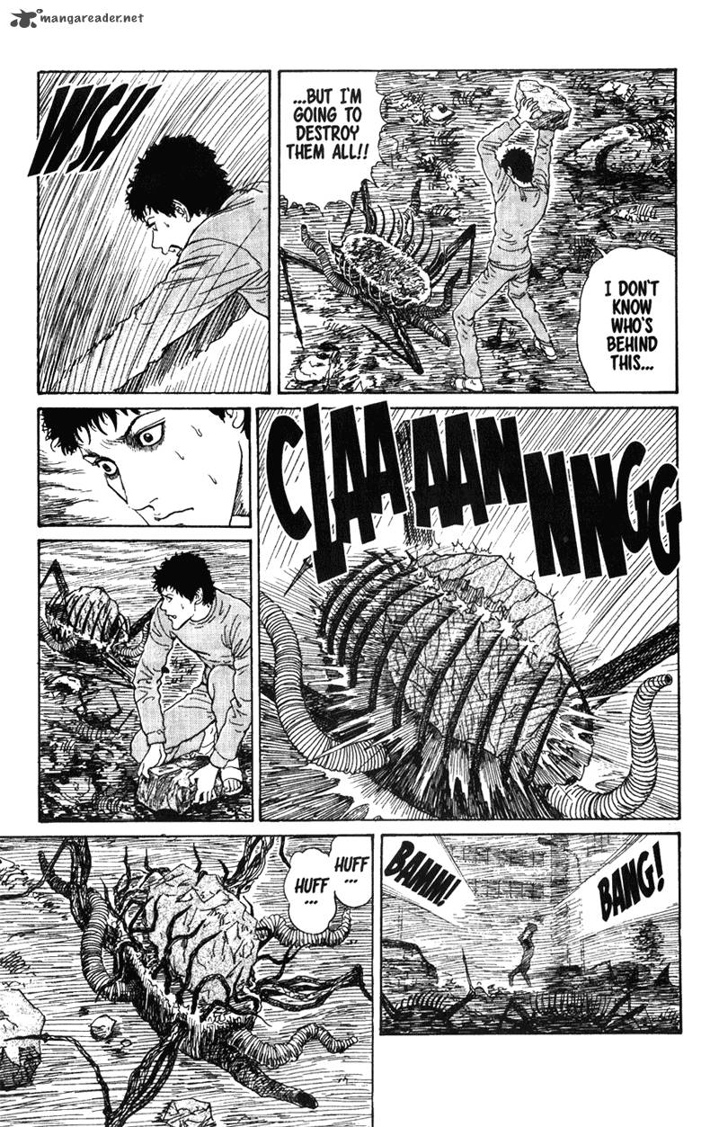gyo_13_11