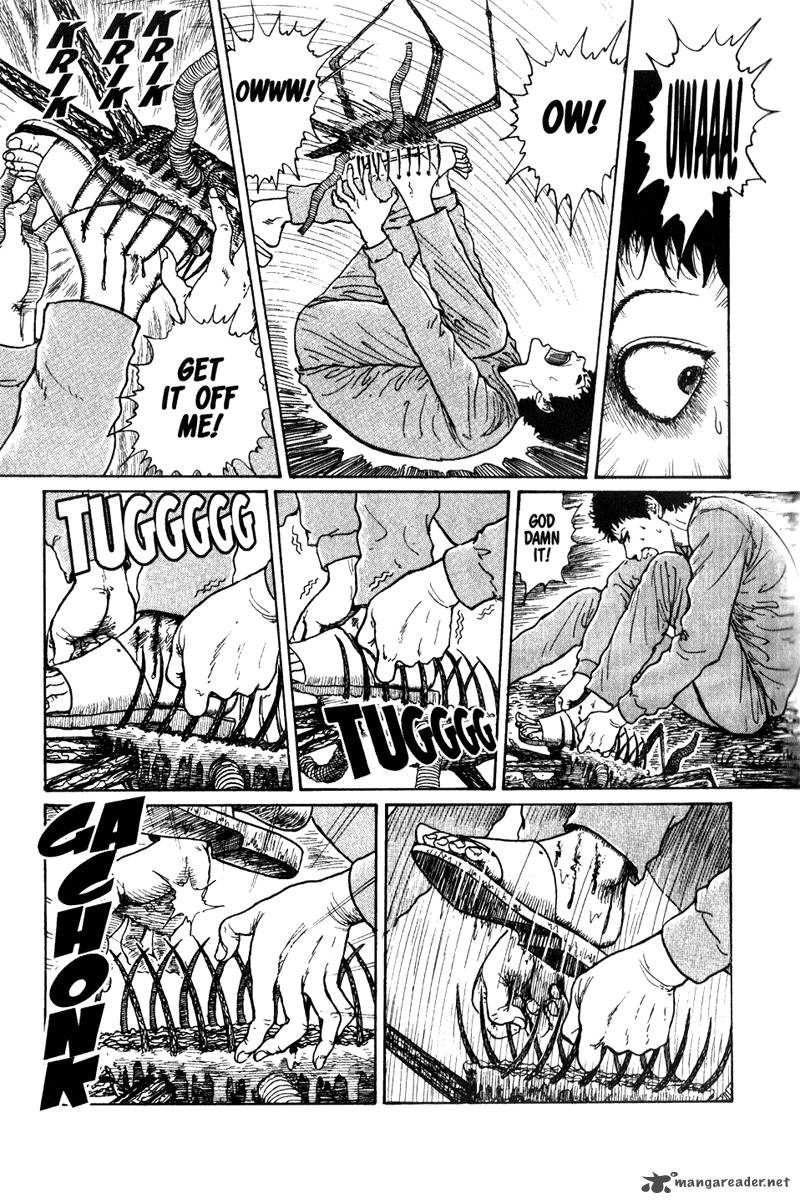 gyo_13_13