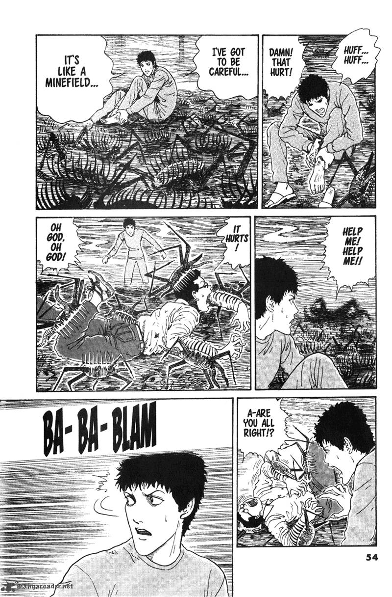 gyo_13_14