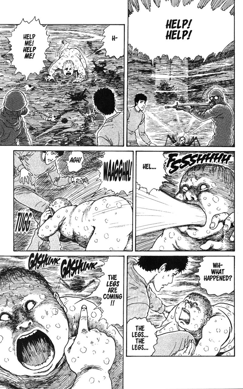 gyo_13_17
