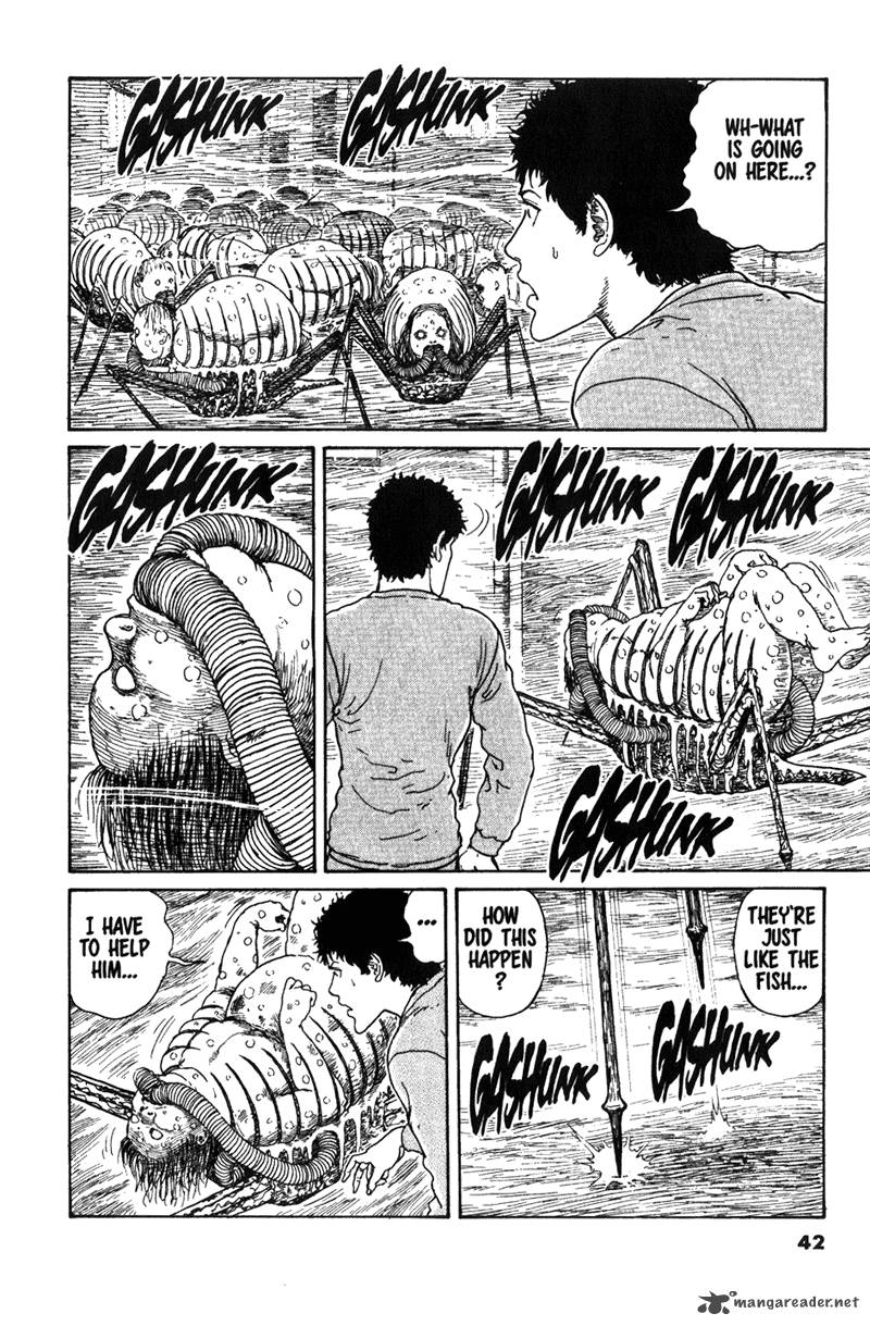 gyo_13_2
