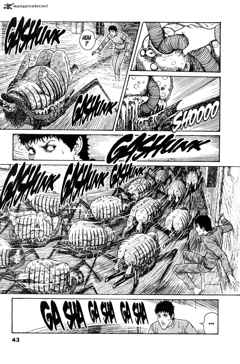 gyo_13_3