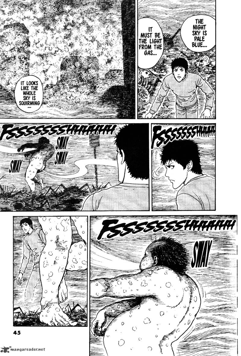 gyo_13_5