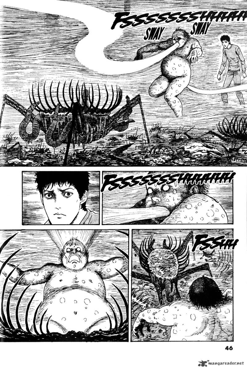 gyo_13_6