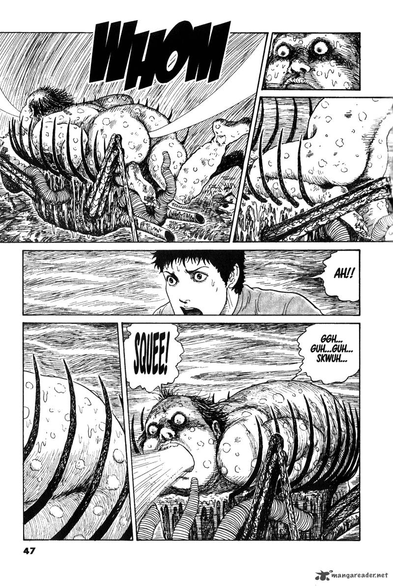 gyo_13_7