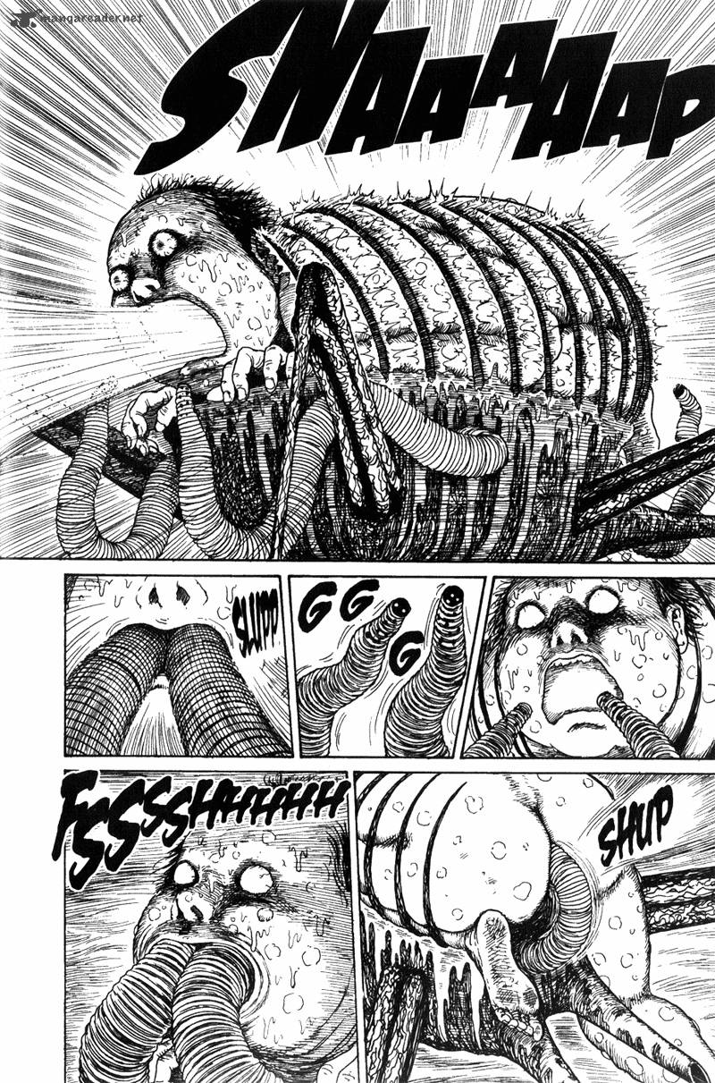 gyo_13_8