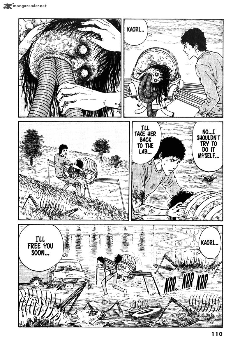 gyo_16_15