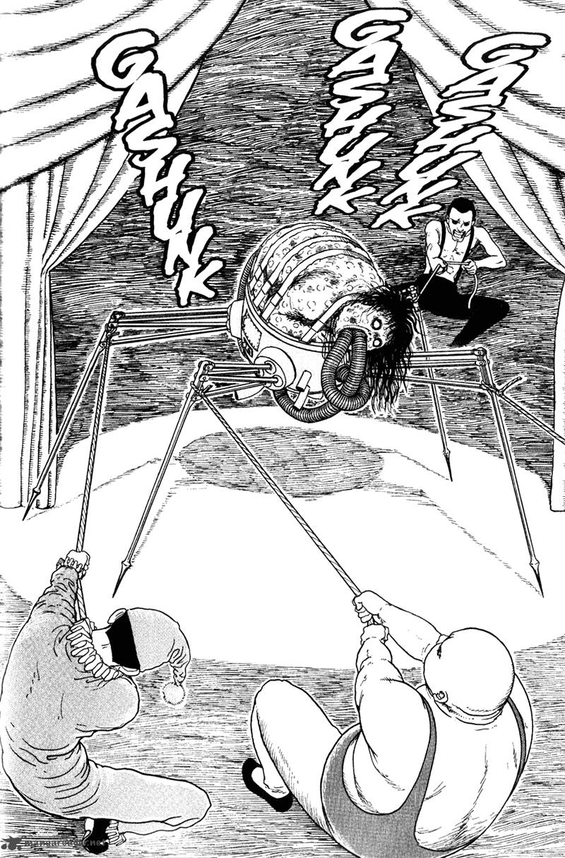 gyo_16_7