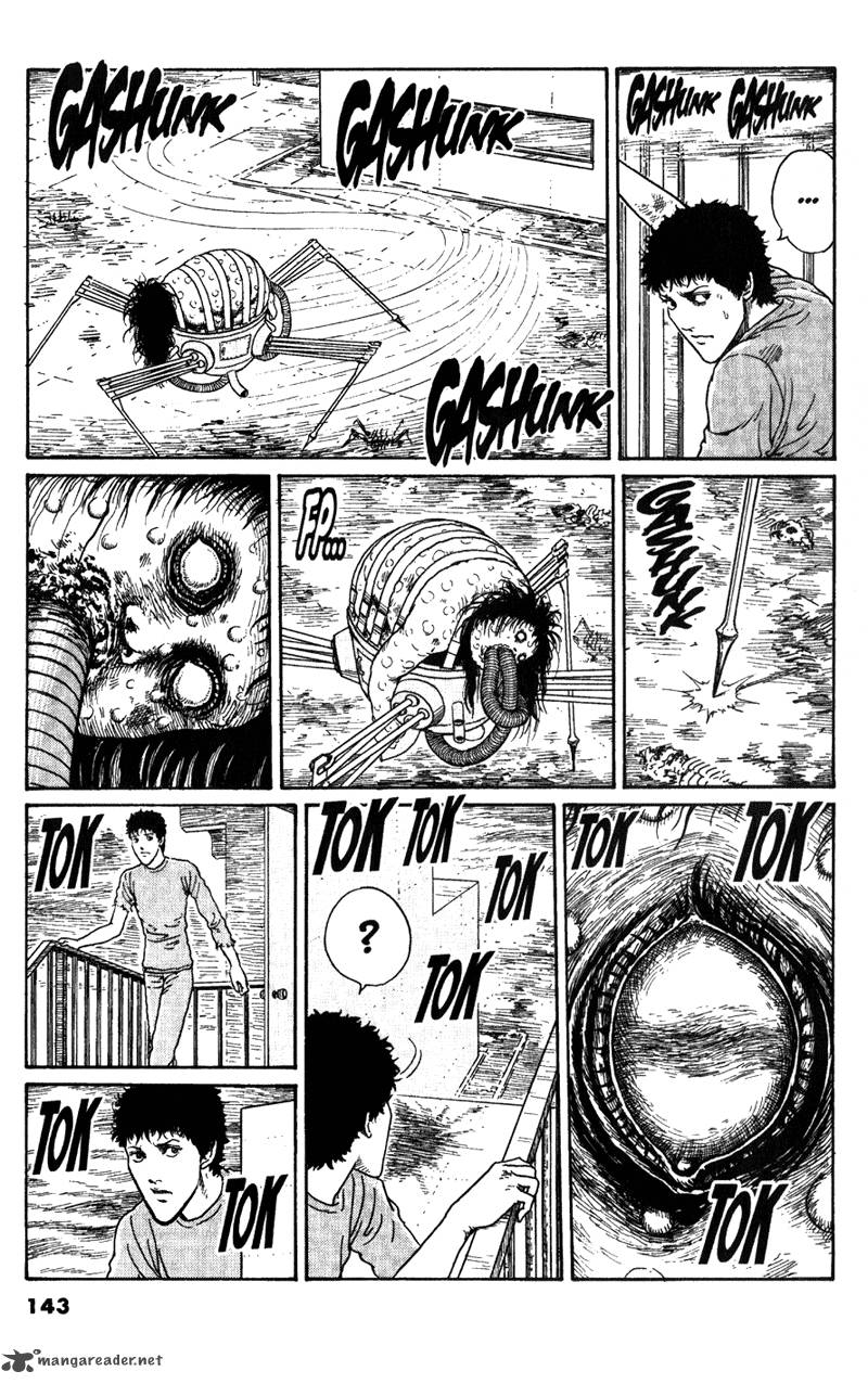 gyo_18_13