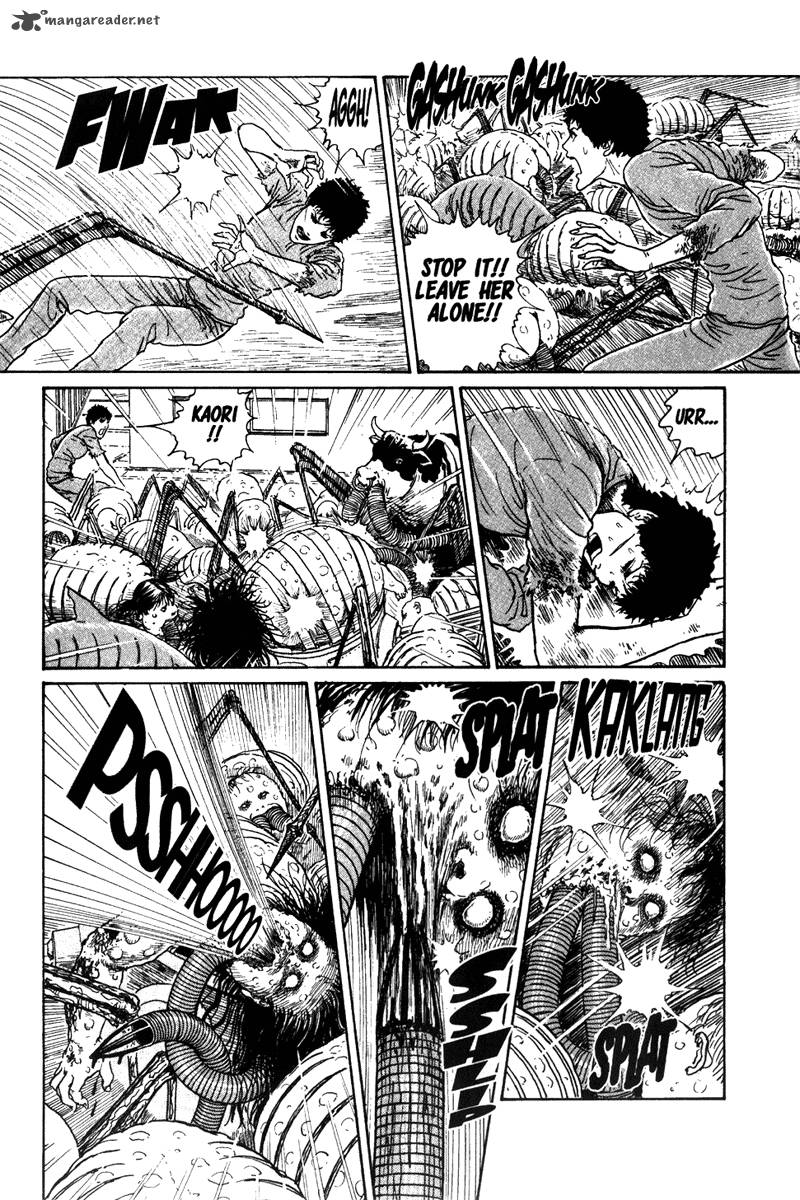 gyo_18_17