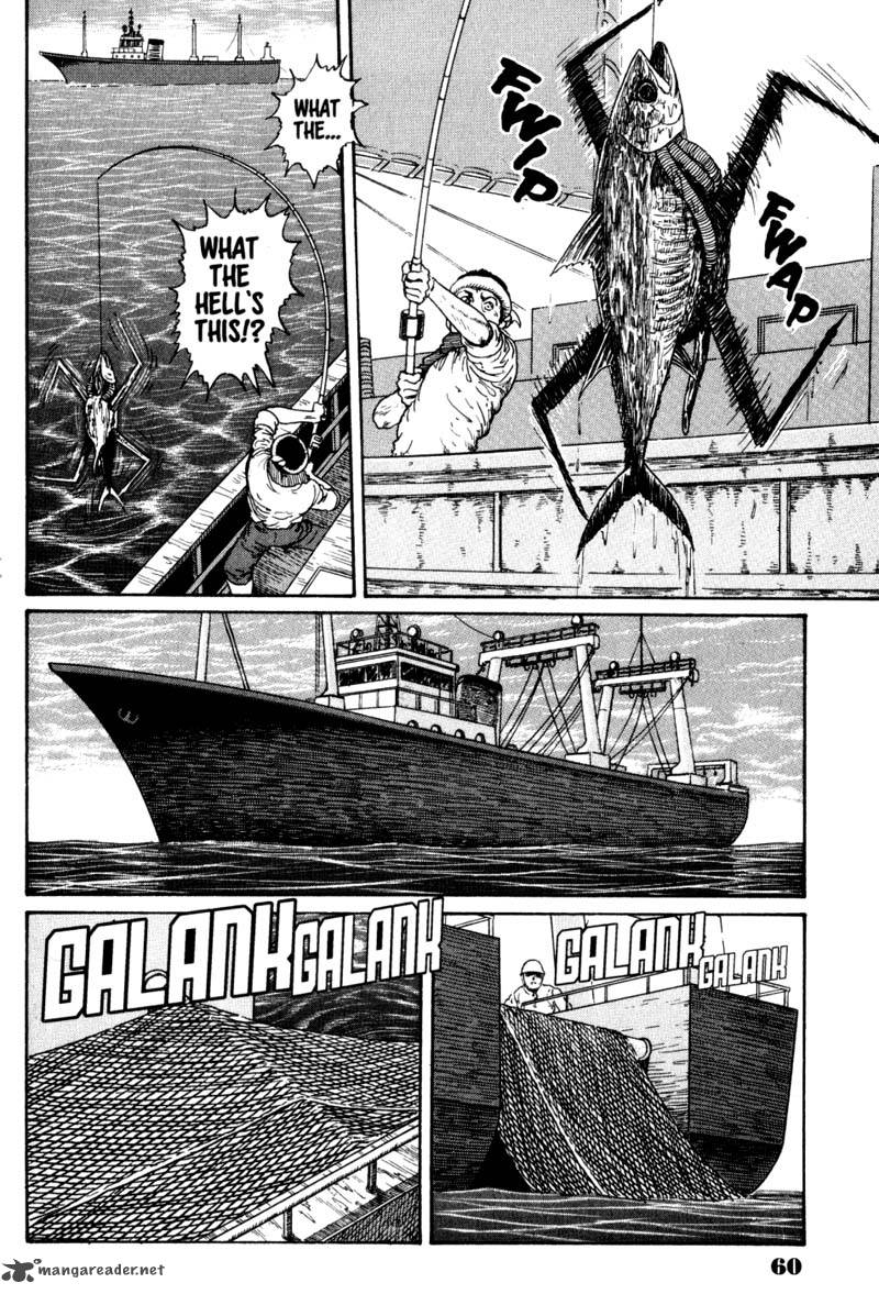 gyo_3_7