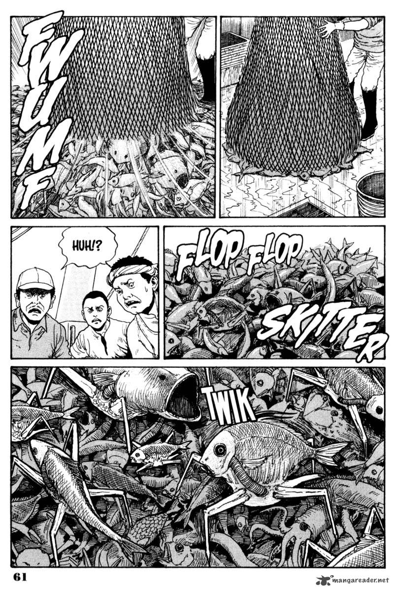 gyo_3_8