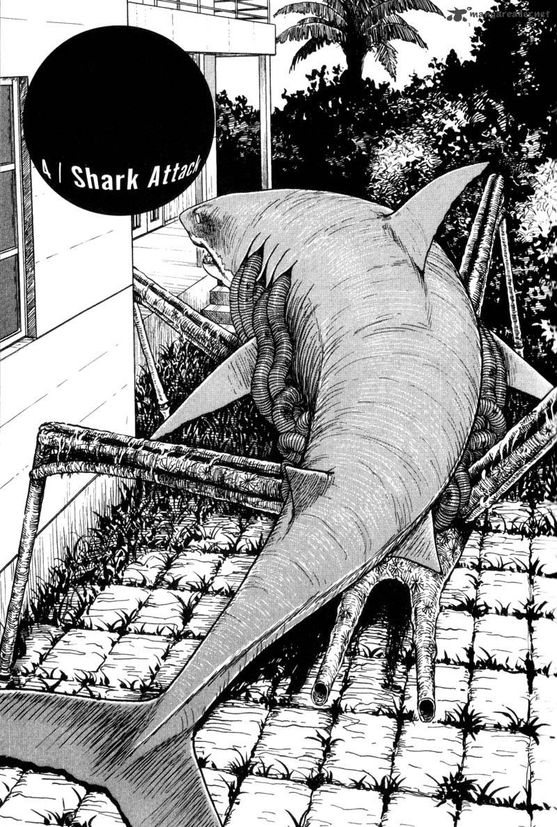 gyo_4_1