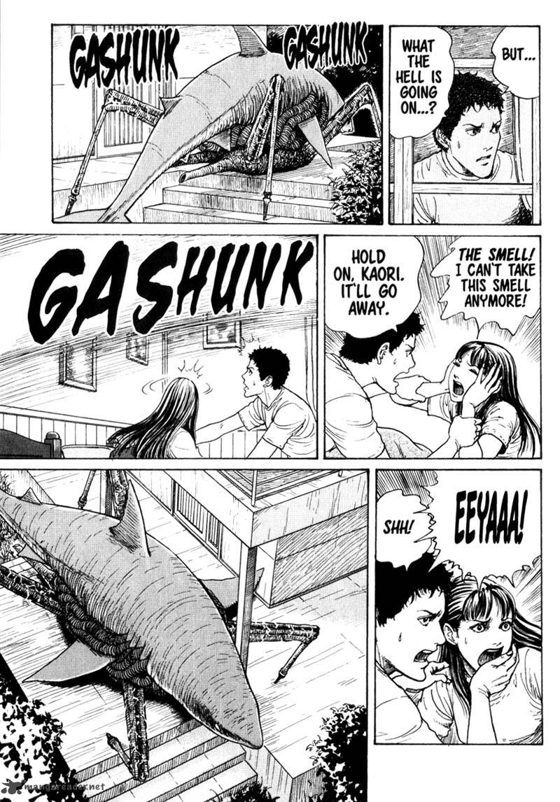 gyo_4_3