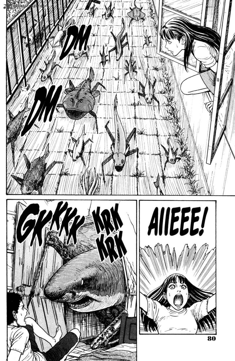 gyo_4_8