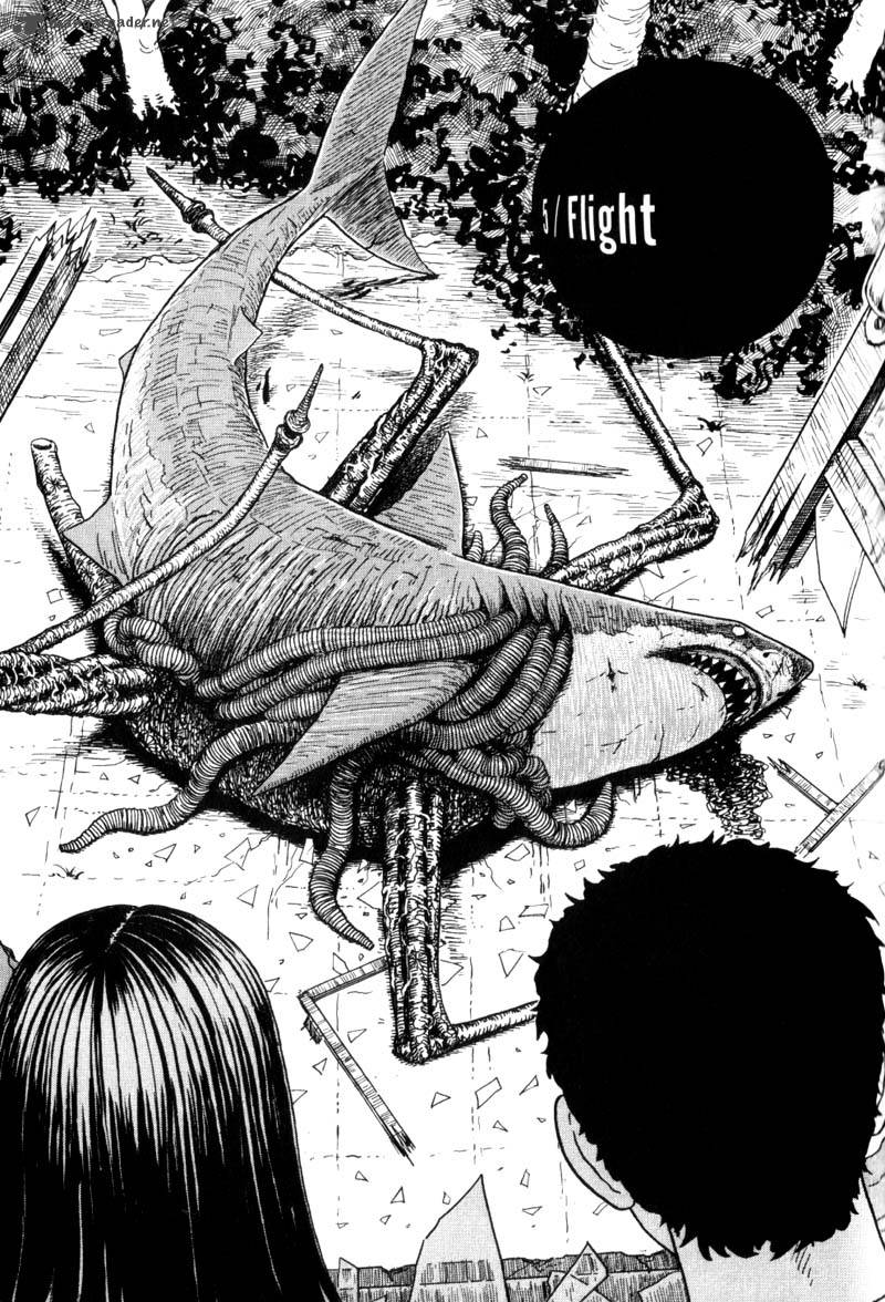 gyo_5_1