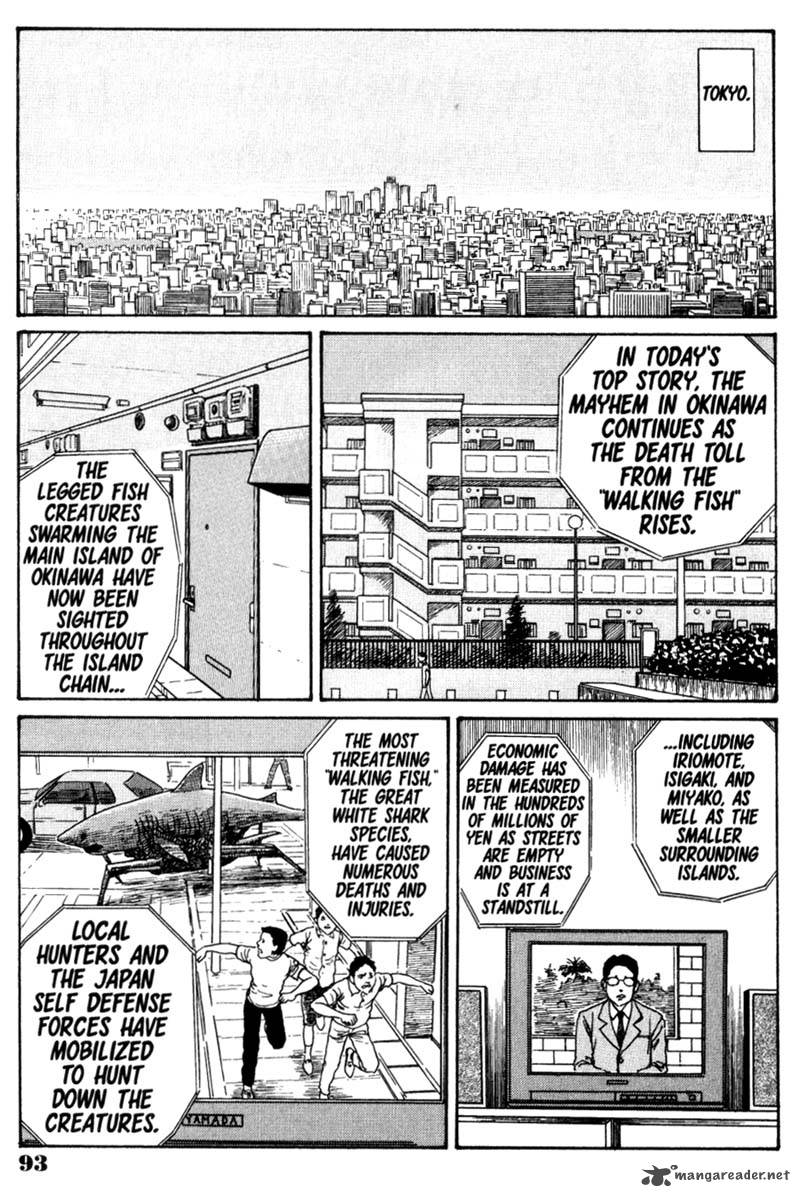 gyo_5_3