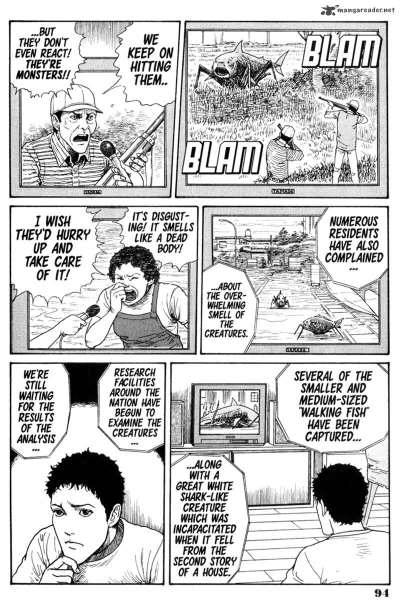 gyo_5_4