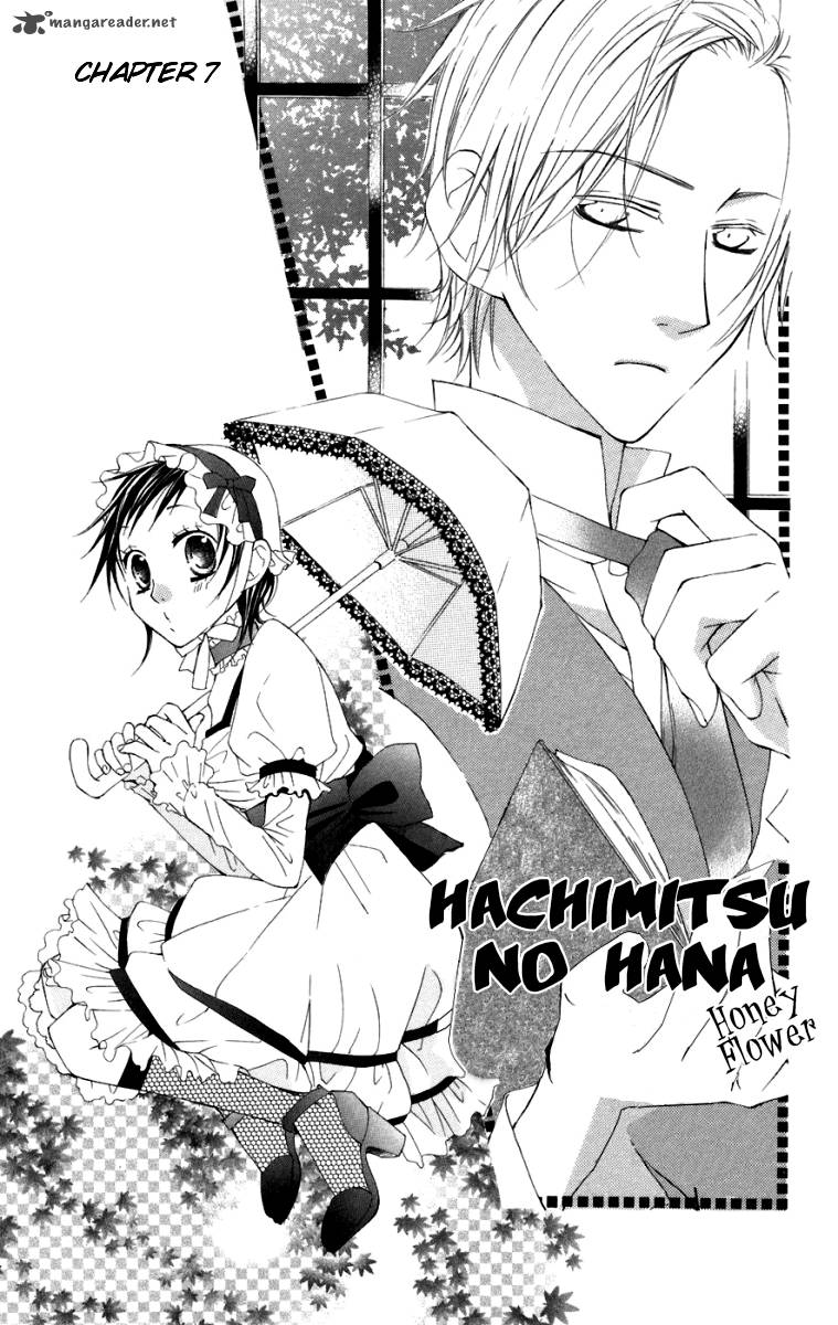 hachimitsu_no_hana_7_3